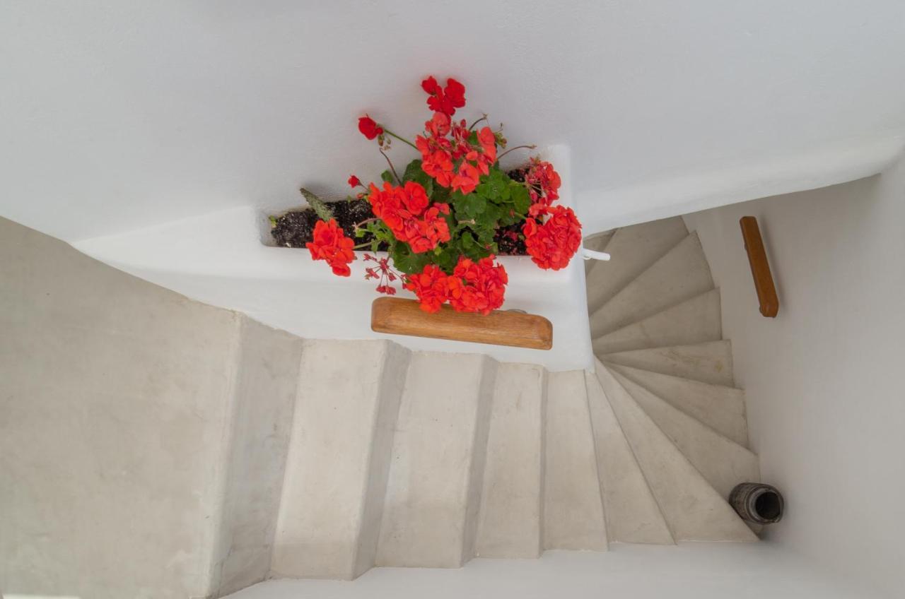 Lasia Boutique Apartment Ándros エクステリア 写真